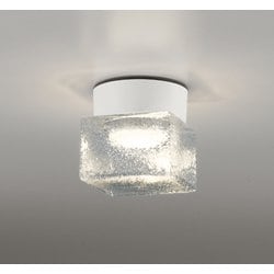 エクステリアライト/防雨・防湿型/白熱灯器具60W相当 OG264048LR