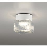 エクステリアライト/防雨・防湿型/白熱灯器具60W相当 OG264048LR