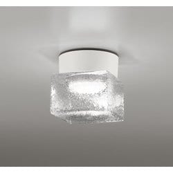 エクステリアライト/防雨・防湿型/白熱灯器具60W相当 OG264048NR