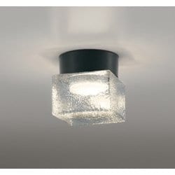 エクステリアライト/防雨・防湿型/白熱灯器具60W相当 OG264049LR