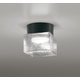 エクステリアライト/防雨・防湿型/白熱灯器具60W相当 OG264049NR