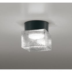 エクステリアライト/防雨・防湿型/白熱灯器具60W相当 OG264049NR