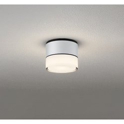 エクステリアライト/防雨型/白熱灯器具40W相当 OG264059LR