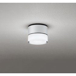 エクステリアライト/防雨型/白熱灯器具40W相当 OG264059NR
