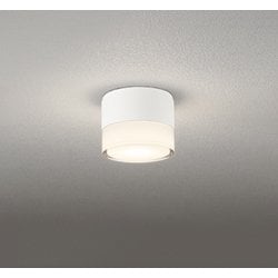 エクステリアライト/防雨型/白熱灯器具40W相当 OG264060LR