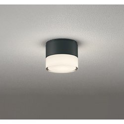 エクステリアライト/防雨型/白熱灯器具40W相当 OG264061LR