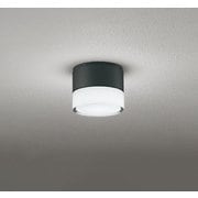 エクステリアライト/防雨型/白熱灯器具40W相当 OG264061NR