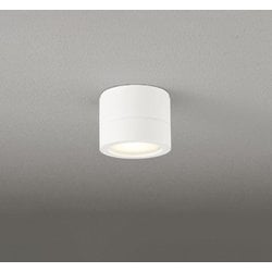エクステリアライト/防雨型/白熱灯器具60W相当 OG264062LR
