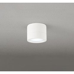エクステリアライト/防雨型/白熱灯器具60W相当 OG264062NR