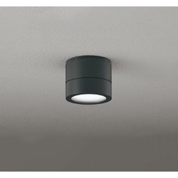 エクステリアライト/防雨型/白熱灯器具60W相当 OG264063NR