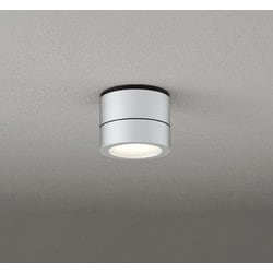 エクステリアライト/防雨型/白熱灯器具60W相当 OG264064LR