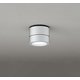 エクステリアライト/防雨型/白熱灯器具60W相当 OG264064NR