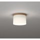 小型シーリングライト/白熱灯器具60W相当 OL291269LR