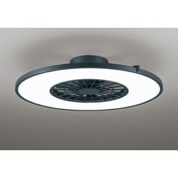 シーリングファン/～8畳/オゾン発生器付 OL291275BR