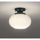 小型シーリングライト/白熱灯器具60W相当 OL291280BR