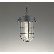 ペンダントライト/簡易防雨型/白熱灯器具40W相当 OP252409LR