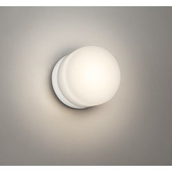 エクステリアライト/防雨・防湿型/白熱灯器具60W相当 OW269047LR