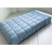 掛けふとん テンセル エクセフィール シングルサイズ(150×210cm) 再生繊維(リヨセル)50%/合成繊維(ポリエステル40%・サンバーナー10%) 日本製 700g シルバー