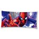 MV-287 MARVEL クリアマルチケース スパイダーマン [キャラクターグッズ]