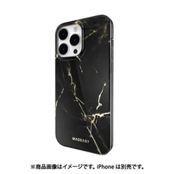 ☆ MagEasy iPhone 14 Pro Max 対 リーブラック 320
