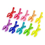 洗濯ばさみ 10個入り SUNNY RAINBOW ポールピンチ 10pcs 竿ばさみ A302RA