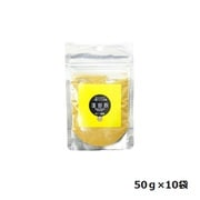 塩御殿 カレー 袋入り 中袋 50g×10袋セット