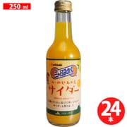 三ヶ日みかんサイダー 250ml×24