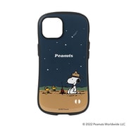 41-946954 [iPhone 14用 iFace FC PN タキビ]