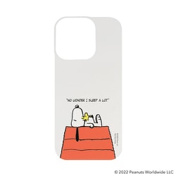 41-947906 [iPhone 14 Pro用 iFace Reflection インナーシート PEANUTS ドッグハウス・zzz]