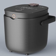 r2250-GY [炊飯器 低温調理 無水調理 発酵 カラダ作り 5合 グレー]
