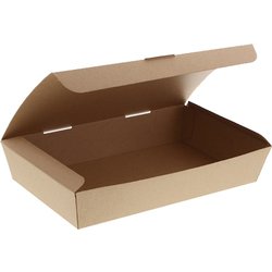 4248002 [HEIKO ネオクラフト スナックボックス L]