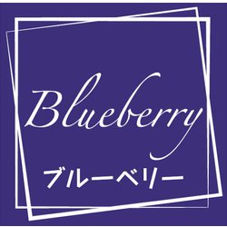 HEIKO フレーバーシール ブルーベリー 7062332