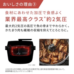 NF-AC1000-K Bistro　オートクッカー　ビストロ　パナソニック パナソニック オートクッカー ビストロ NF-AC1000-K [ブラック