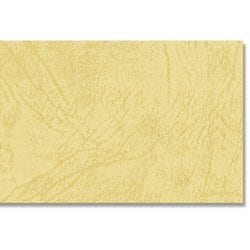 HEIKO カットペーパー レザック66 A4 ゾウゲ 2134713