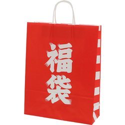 HEIKO 手提げ紙袋 25チャームバッグ 福袋 2才 3221400
