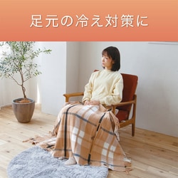 コイズミ  電気肩ひざ掛け  丸洗い可  150×93cm  KDH-50237 Amazon | コイズミ 電気肩ひざ掛け 丸洗い可 150×93cm KDH-50237