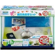 きんぎょファミリー M