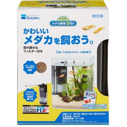 リトルアクアリウム メダカ飼育 6点セット