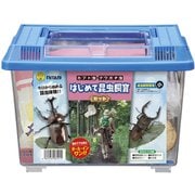 はじめて昆虫飼育ケース付セット 小