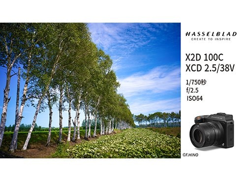 【2024新春福袋】 ハッセルブラッド hasselblad マクロフラッシュブラケット 装い 10-5 その他