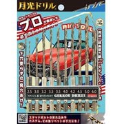 SR-6GK10P [月光ドリル六角軸10本セット]