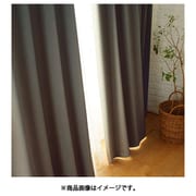 既製カーテン ドレープ プライム2 100cm×200cm ブラック V1822