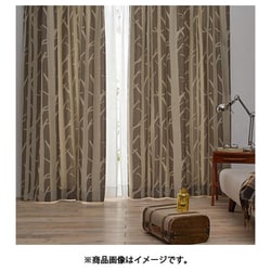 既製カーテン ドレープ シラカバ 100cm×200cm グレー V1294