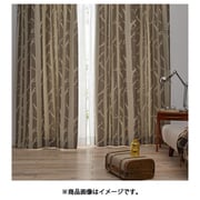 既製カーテン ドレープ シラカバ 100cm×200cm グレー V1294
