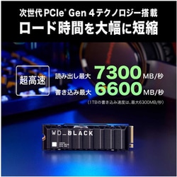 ヨドバシ.com - WESTERN DIGITAL ウェスタンデジタル WDS100T2XHE