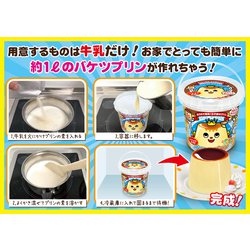 おうちでつくろう！バケツプリン 3個セット - 食品