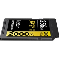 レキサーメディア　SDカード　256G