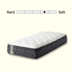 ヨドバシ.com - シーリー Sealy DLP1MM01TTS97M マットレス