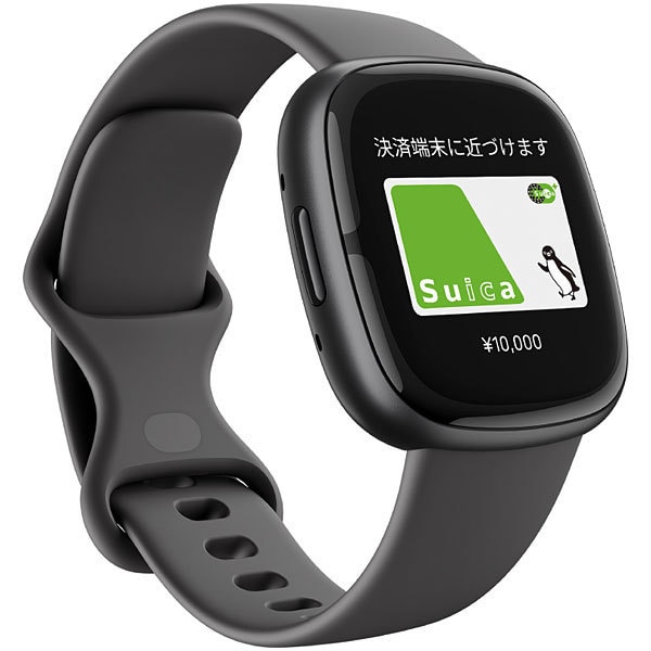 FB521BKGB-FRCJK [Fitbit Sense 2（フィットビット センス 2） GPS搭載 スマートウォッチ Shadow Grey/Graphite シャドーグレー/グラファイト L/S サイズ]