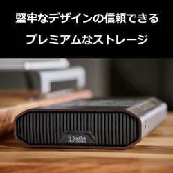 ヨドバシ.com - サンディスク​プロフェッショナル SanDisk